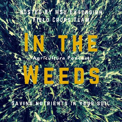 In the Weeds: Saving Nutrients in Your Soil
