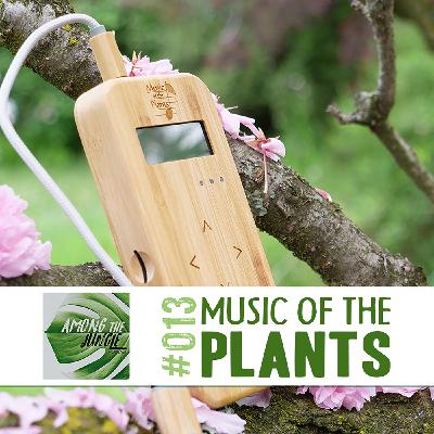 Music of the Plants: Giving Plants a Voice with Aninga Striano
