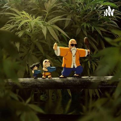 Porque nos gusta el Morbo 🤭 lo violento o los put@z0s? 🤬 Porque nos gusta el Morbo 🤭 lo violento o los put@z0s? 🤬