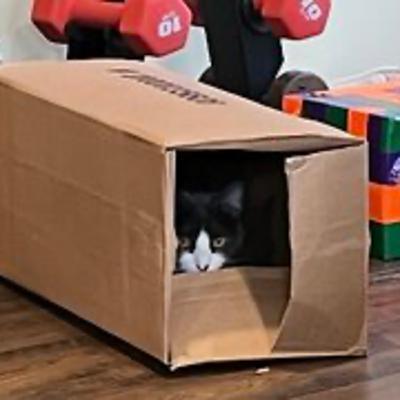 Episode 3011 CWSA 11/07/25