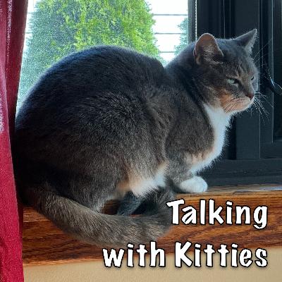 The Couples Game - Part One The Couples Game - Part One