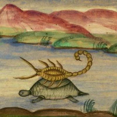 De schorpioen en de schildpad De schorpioen en de schildpad