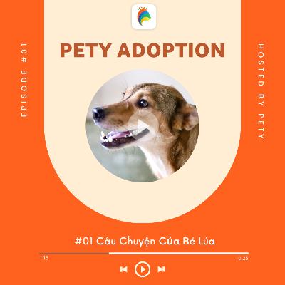 Pety Adoption #1: Câu Chuyện Của Bé Lúa