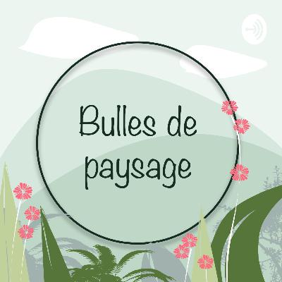 5. Les cours Oasis ou la renaturation des cours d'écoles