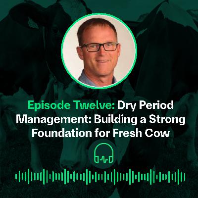 Dry Period Management: Building a Strong Foundation || Gestion de la période de tarissement : Établir un une base solide