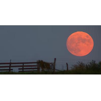 なぜ月はある夜は近くに見え、他の夜は遠くに見えるのですか？