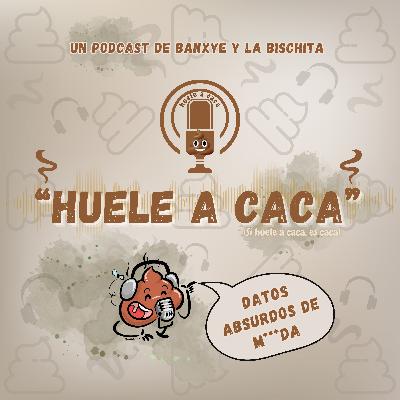 12. Datos Absurdos de 💩
