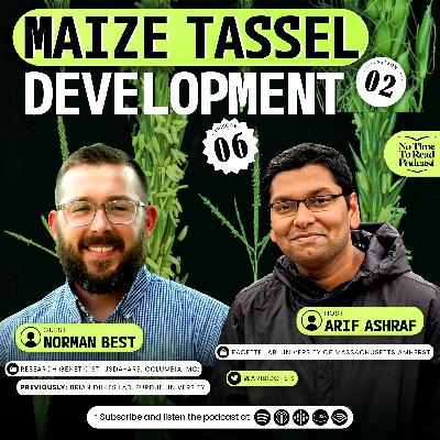 S2E6 | Norman Best | Maize Tassel Development S2E6 | Norman Best | Maize Tassel Development