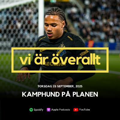 Kamphund på planen