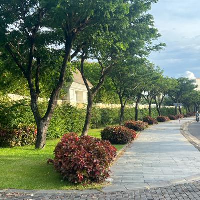 #43 Bài học khi thất bại để vững tin bước tiếp #43 Bài học khi thất bại để vững tin bước tiếp