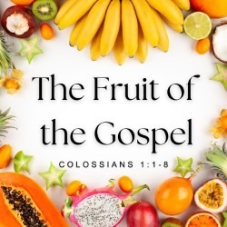 The Fruit of the Gospel episode artwork
