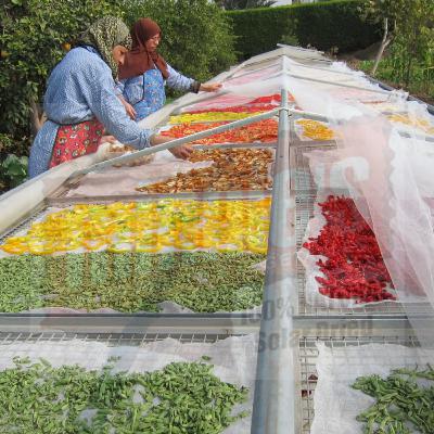 Arid lands & regenerative preservation practices