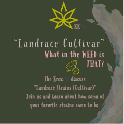 S3E14 Landrace Kultivar
