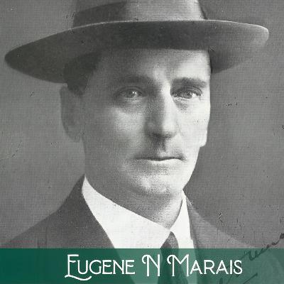 12 Stories van Eugene N. Marais