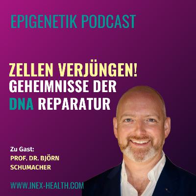 Geheimnisse der DNA-Reparatur: Wie du deine Zellen verjüngen und Krebs vorbeugen kannst