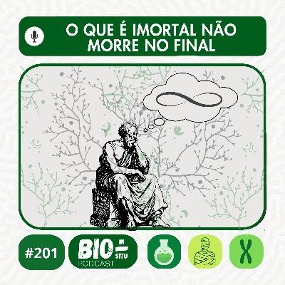 201 - O que é imortal não morre no final 201 - O que é imortal não morre no final