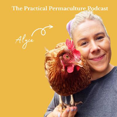 Chicken and garden GOALS with Alyce Alexandra