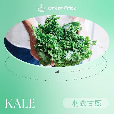【吞食天下】超級食物系列 - 羽衣甘藍