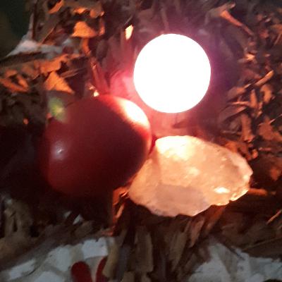 Ermitaño y el huevo rojo