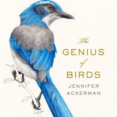 The Genius of Birds - Book Review