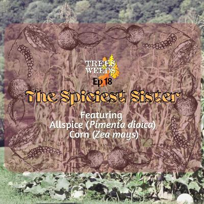 Ep. 18 - The Spiciest Sister Ep. 18 - The Spiciest Sister