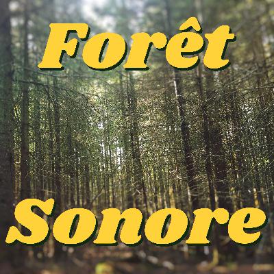 Forêt Sonore Saison 2 Ep.4 - Le Beau, Le Bon et Le Gratuit