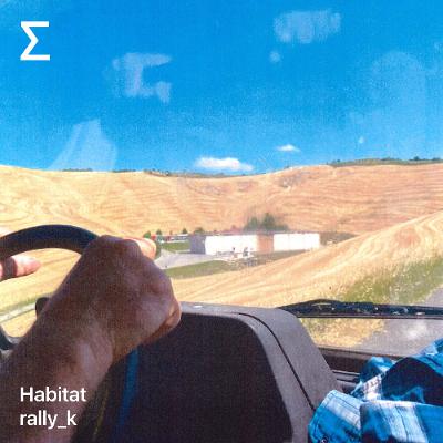 Habitat – rally_k