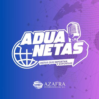 AduaNetas Express - E87 AduaNetas Express - E87