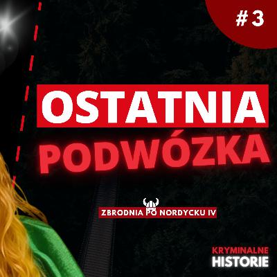 MIA NIE WRÓCIŁA DO DOMU | SPRAWA MII SKADHAUGE STEVN #3 | ZBRODNIA PO NORDYCKU IV MIA NIE WRÓCIŁA DO DOMU | SPRAWA MII SKADHAUGE STEVN #3 | ZBRODNIA PO NORDYCKU IV