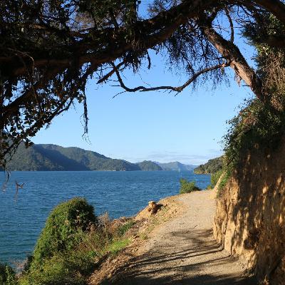 Picton-Havelock Link Pathway nears the finish line