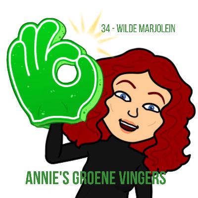 34 - Wilde marjolein