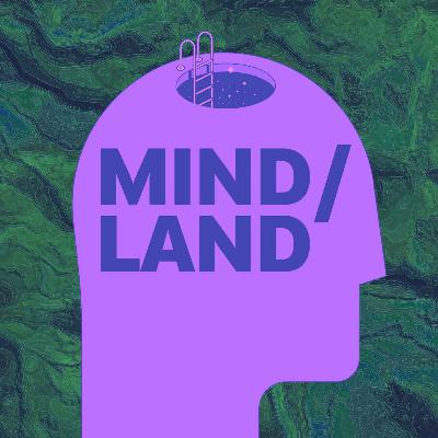 Rest in Maleny Rainforest, QLD | Guided meditation (15 mins)