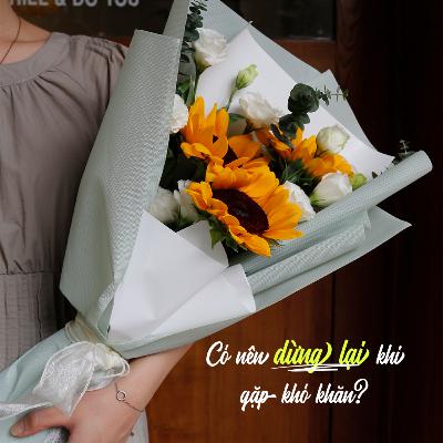28. Có nên dừng lại khi gặp khó khăn?