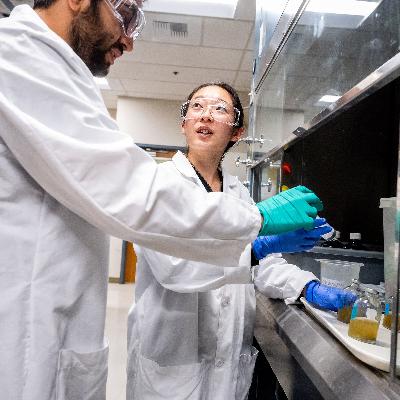 Making university research make money