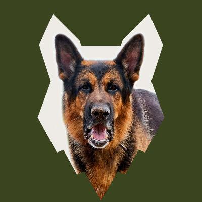 DO GERMAN SHEPHERD HAVE HIGH PREY DRIVE DO GERMAN SHEPHERD HAVE HIGH PREY DRIVE