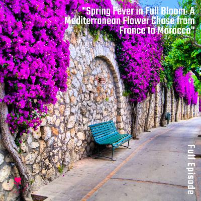 Spring Fever in Full Bloom: A Mediterranean Flower Chase from France to Morocco