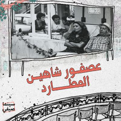 عصفور شاهين المطارد