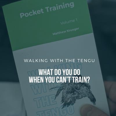 What Do You Do When You Can't Train? What Do You Do When You Can't Train?