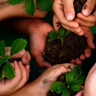 Sustentabilidade Ambiental