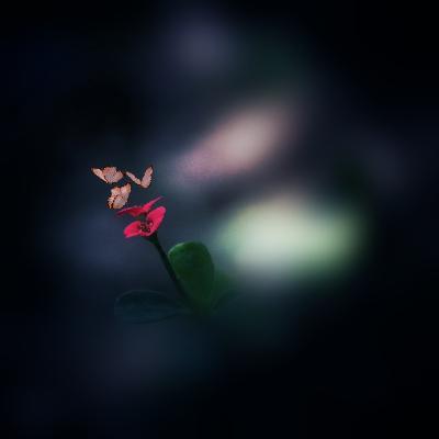 These Tents, those Tents These Tents, those Tents