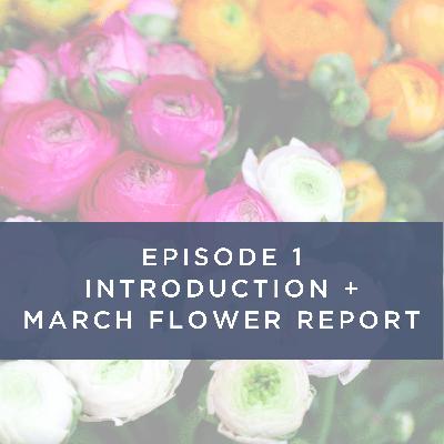 Ep. 1 Introduction + March Flower Report Ep. 1 Introduction + March Flower Report