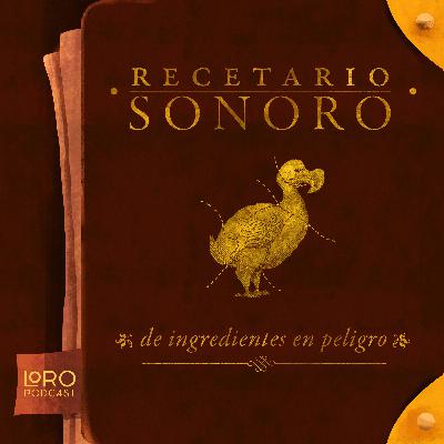 ¿Recetario sonoro de qué?