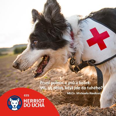 #25 🐕🐈⬛ První pomoc u psů a koček: víš, co dělat, když jde do tuhého? - MVDr. Michaela Riedlová #25 🐕🐈⬛ První pomoc u psů a koček: víš, co dělat, když jde do tuhého? - MVDr. Michaela Riedlová