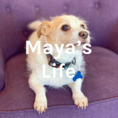 Tik Tok Drama - yo its mads , nessa , jaden, and josh Tik Tok Drama - yo its mads , nessa , jaden, and josh