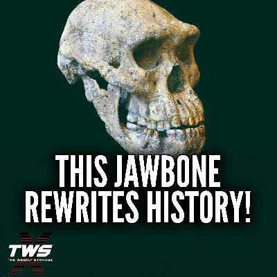 1.8 Million-Year-Old Human Jawbone Is Rewriting Human History THE WEEKLY STRANGE Episode 38