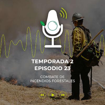 Combate de incendios forestales