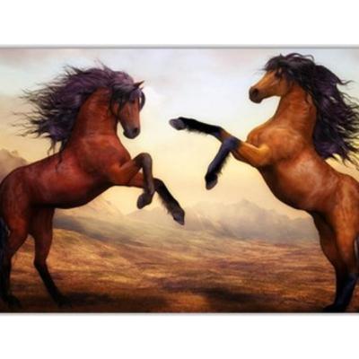 Hz. Süleyman'ın Atları Sevmesi