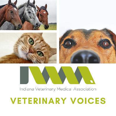 Past, Present, and Future of IVMA