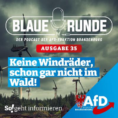 Keine Windräder, schon gar nicht im Wald! | Die Blaue Runde, Ausgabe 35/25 vom 06.06.2025