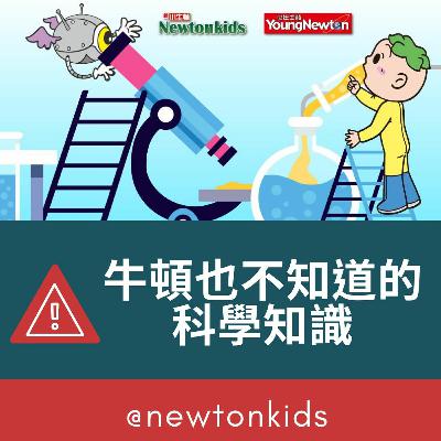 牛頓也不知道的科學知識-香蕉皮和憂鬱症
